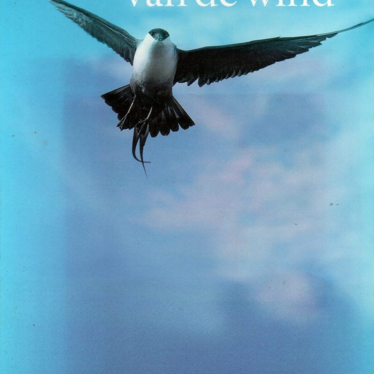 Op de vleugels van de wind - Wadvogelverhalen -