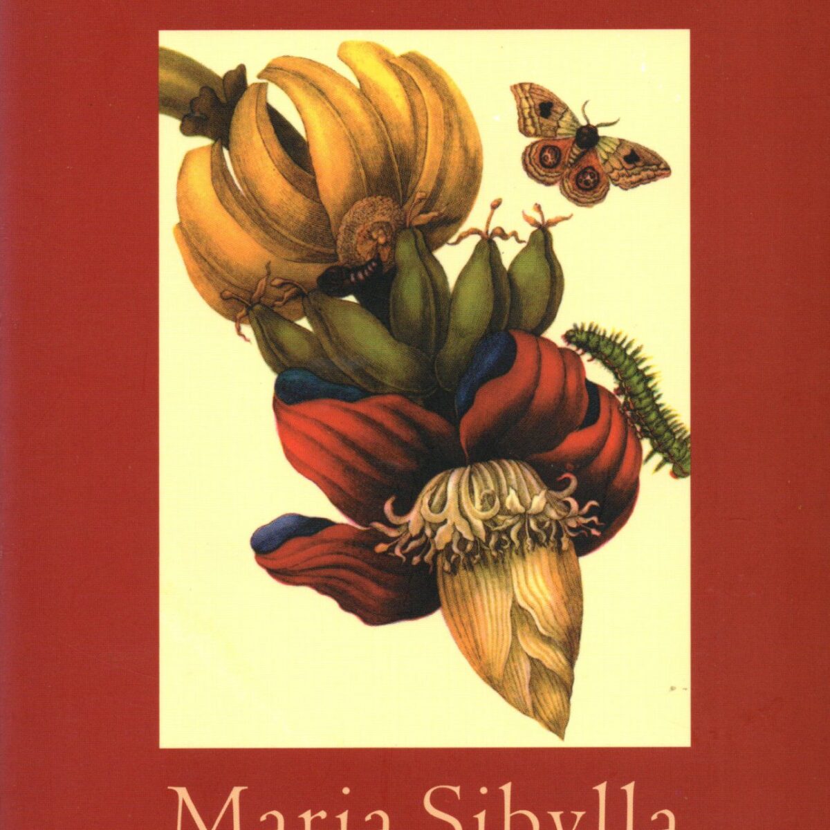 Maria Sibylla - Een ongebruikelijke passie -