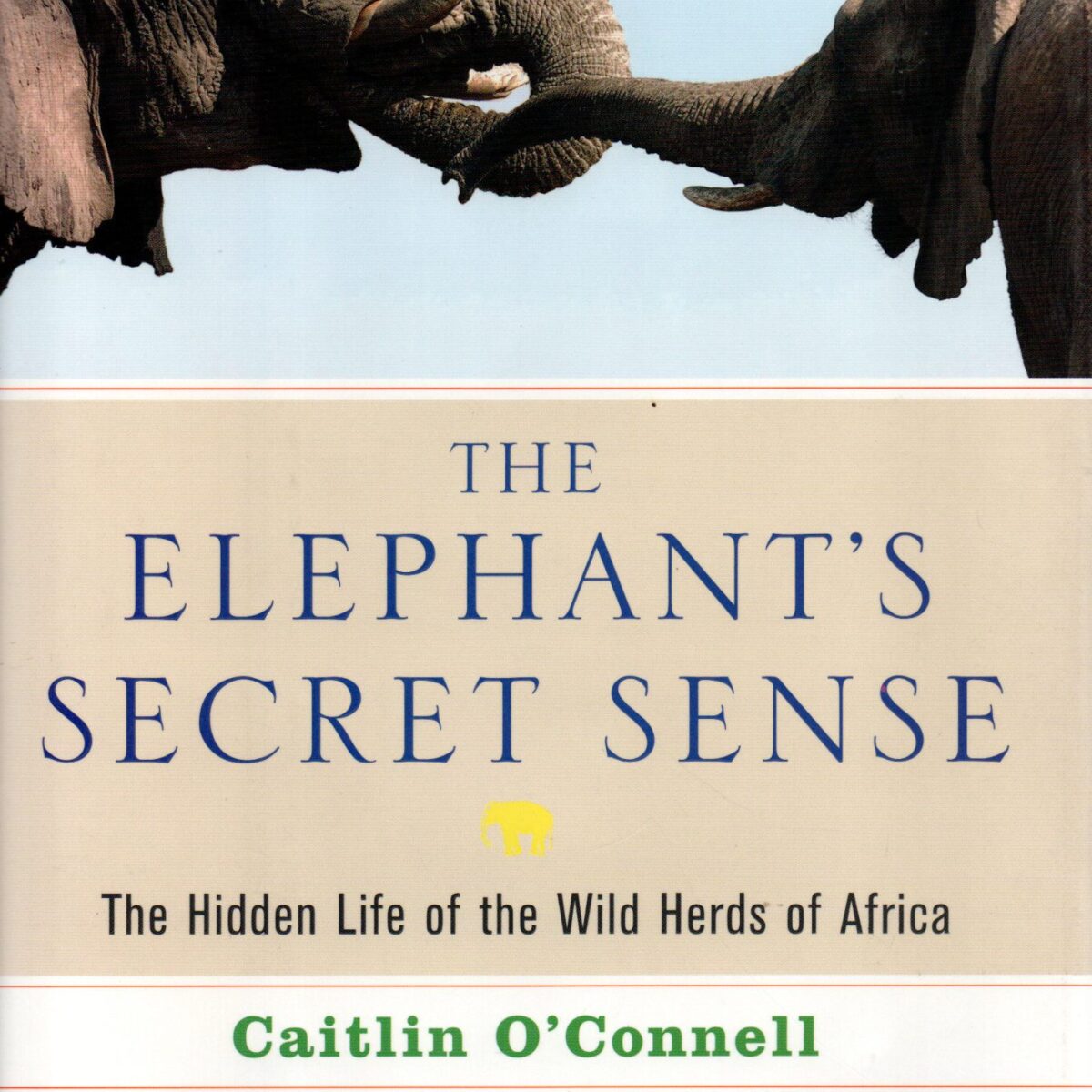 The Elephant's Secret Sense - The Hidden Life of the Wild Herds of Africa -