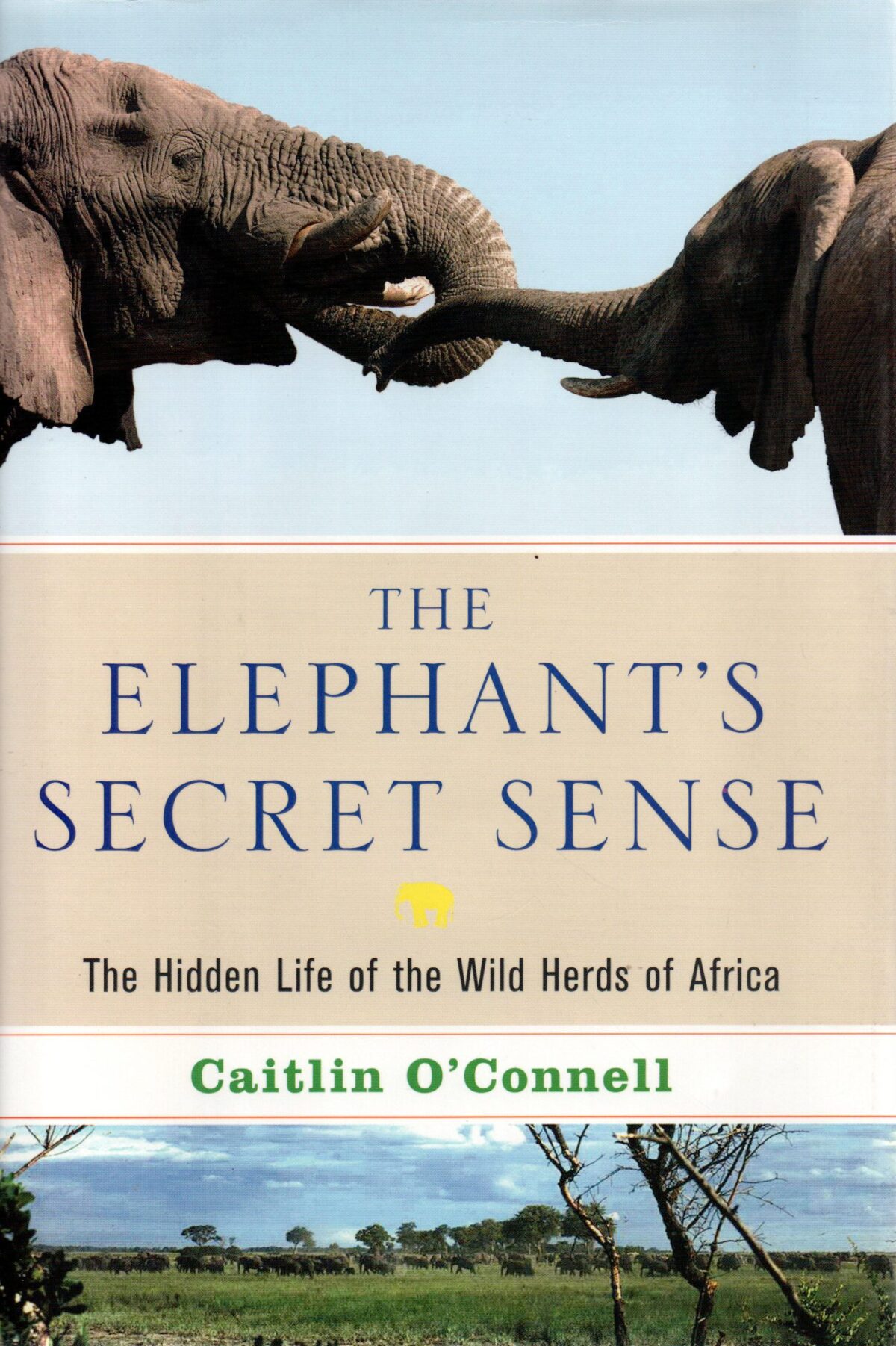 Scan_20230214-4-scaled The Elephant's Secret Sense - The Hidden Life of the Wild Herds of Africa -