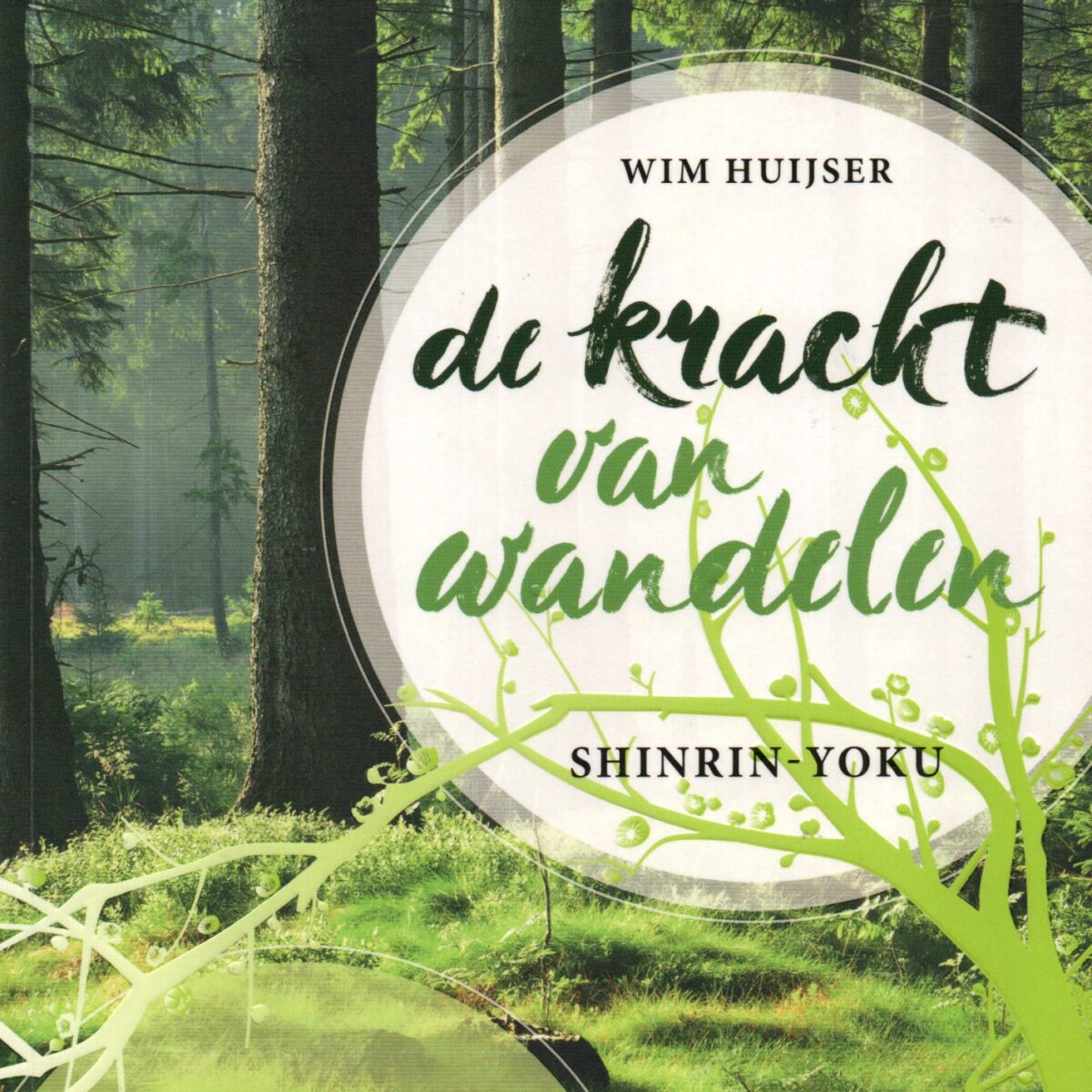 De kracht van wandelen - Shinrin-Yoku - Ontstressen in de natuur -
