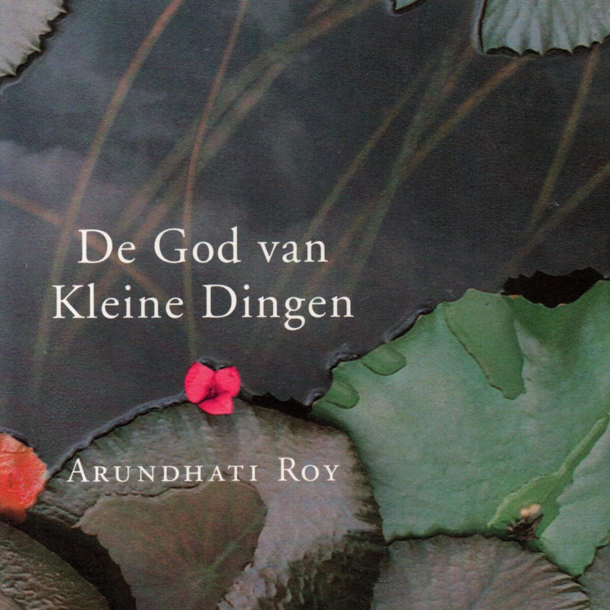 De God van Kleine Dingen
