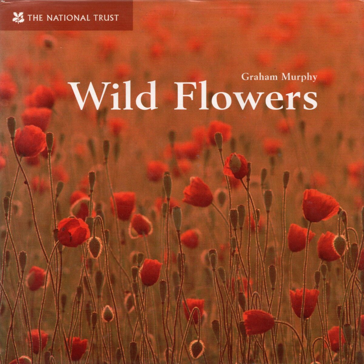 Wild Flowers