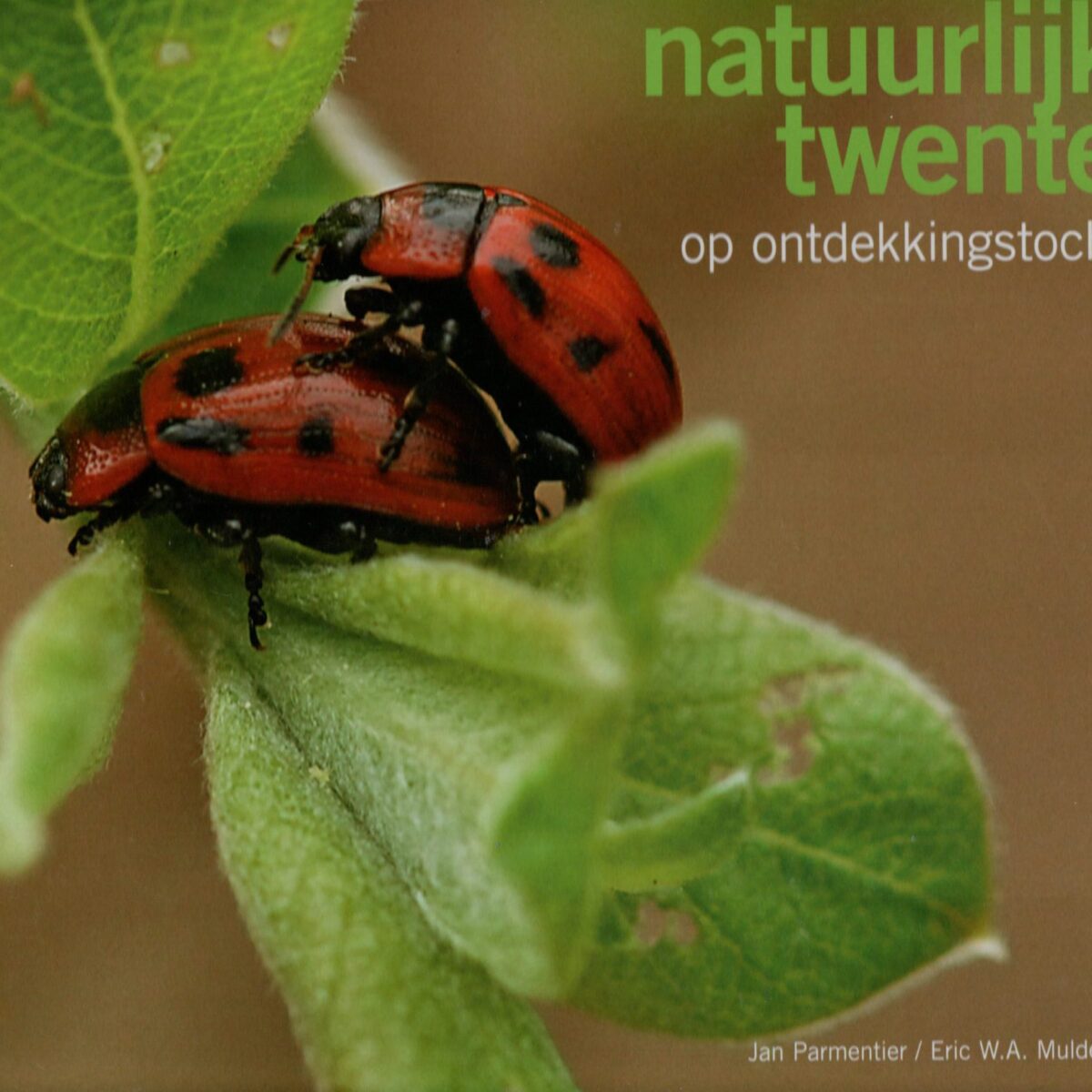 Natuurlijk Twente - op ontdekkingstocht -