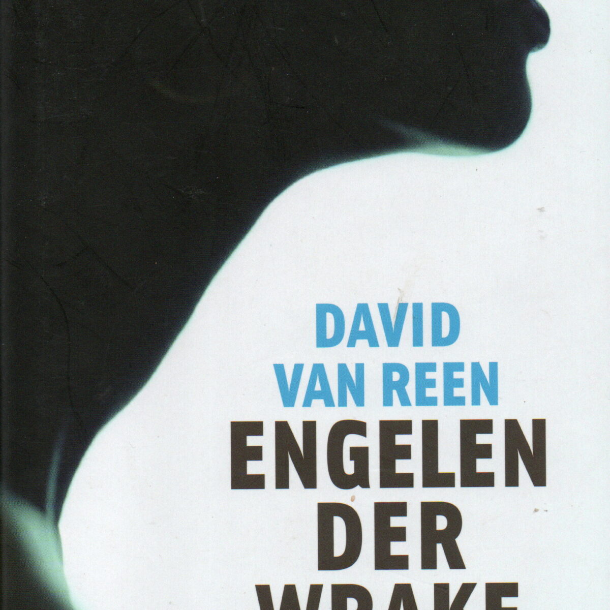 Engelen der wrake - Roman over Kenia -