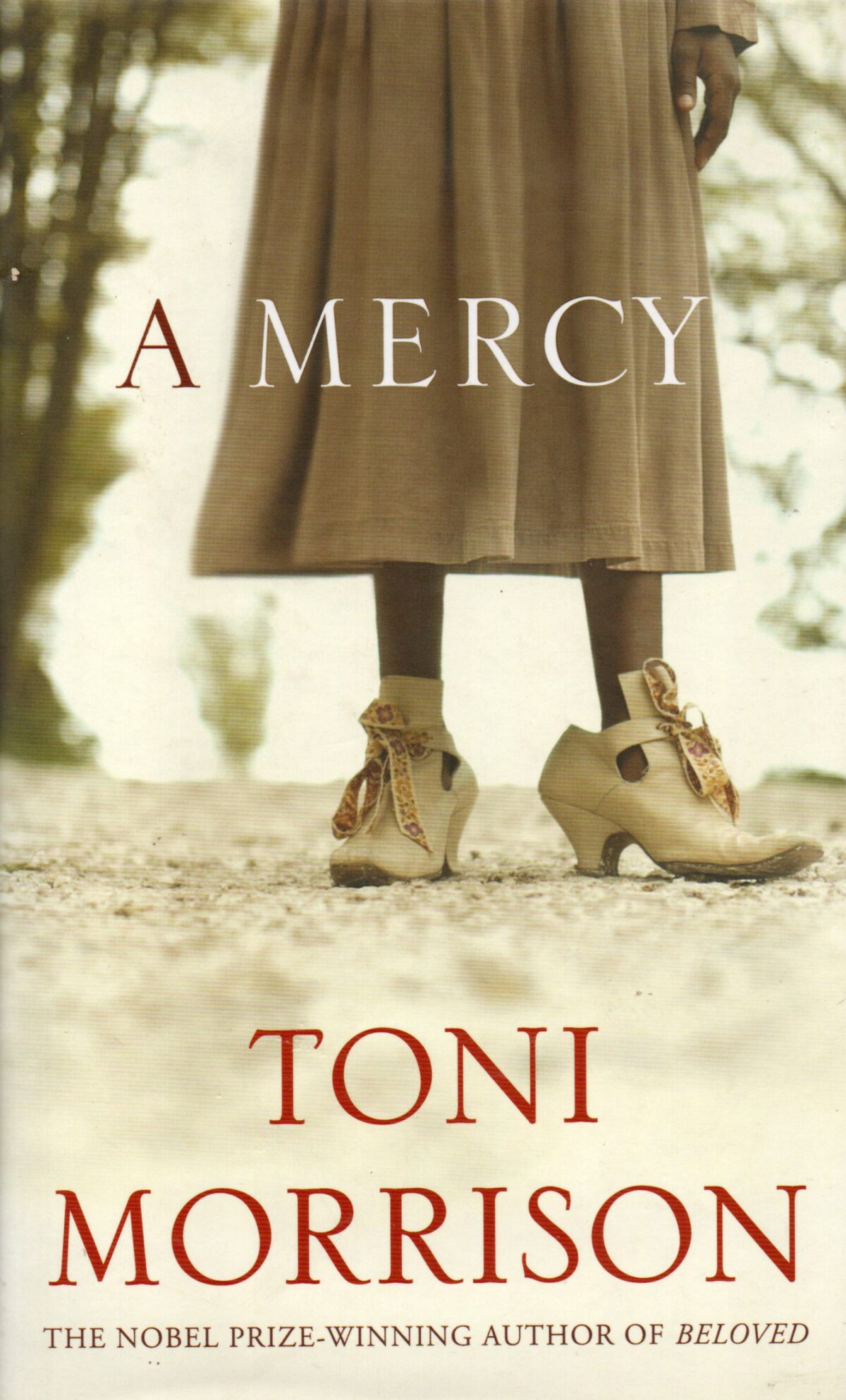 Scan_20230426-3-scaled A Mercy