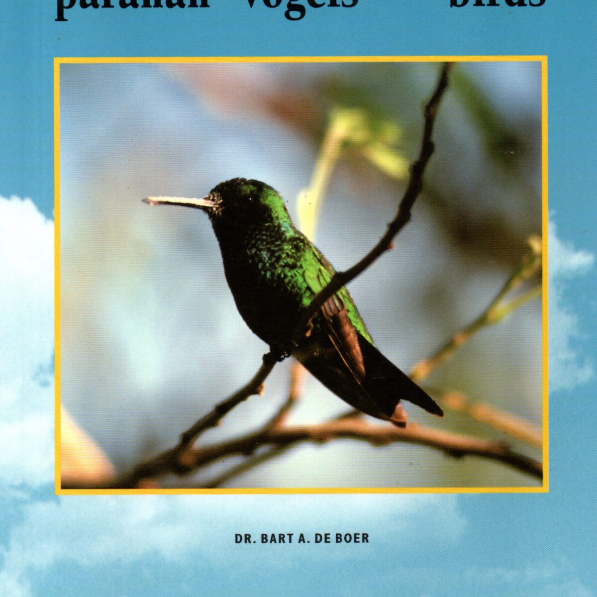 Nos paranan / Onze vogels / Our birds - Curacao / Bonaire / Aruba -