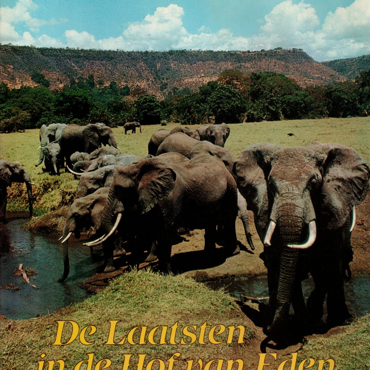 De Laatsten in de Hof van Eden