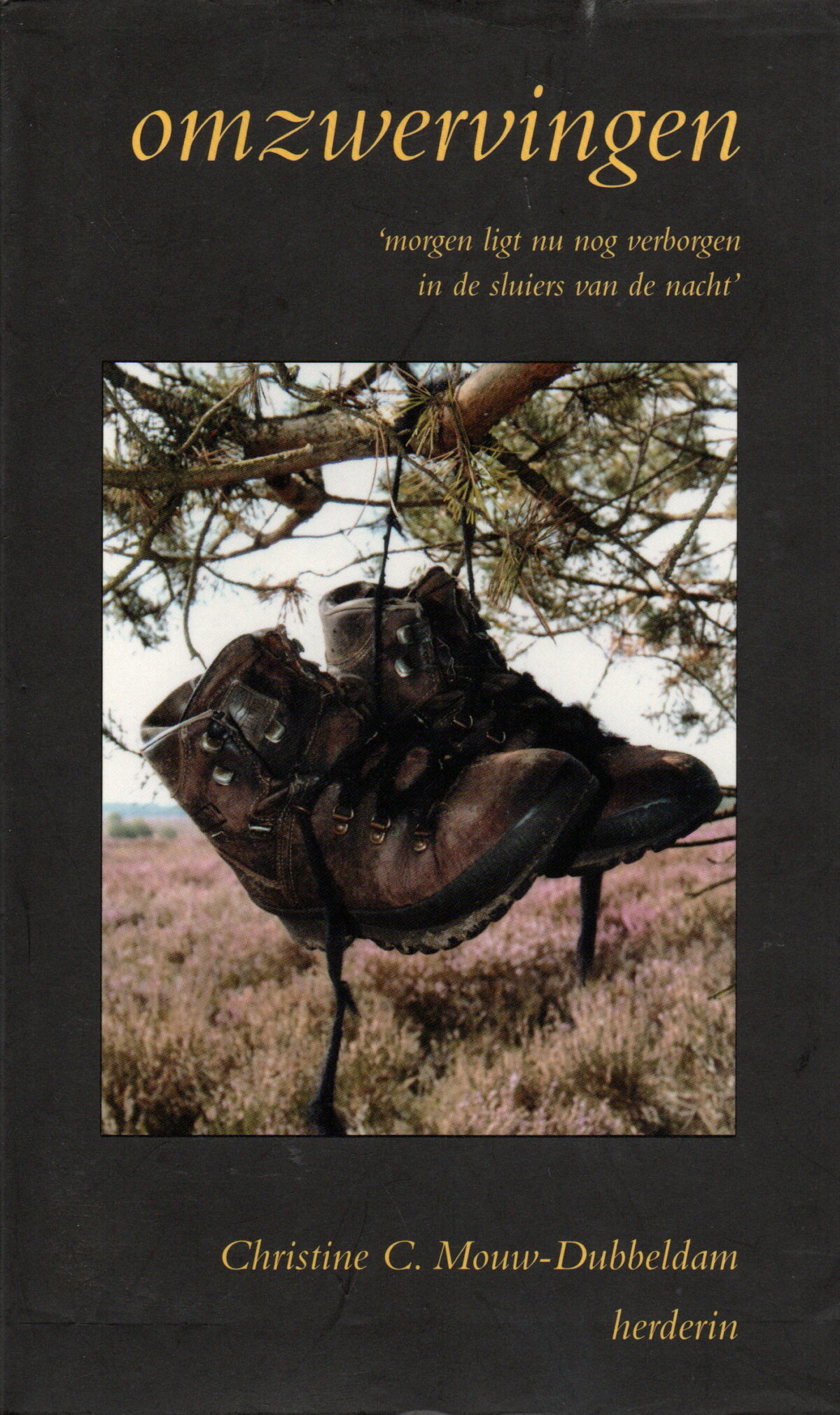 Scan_20230705-5 Omzwervingen