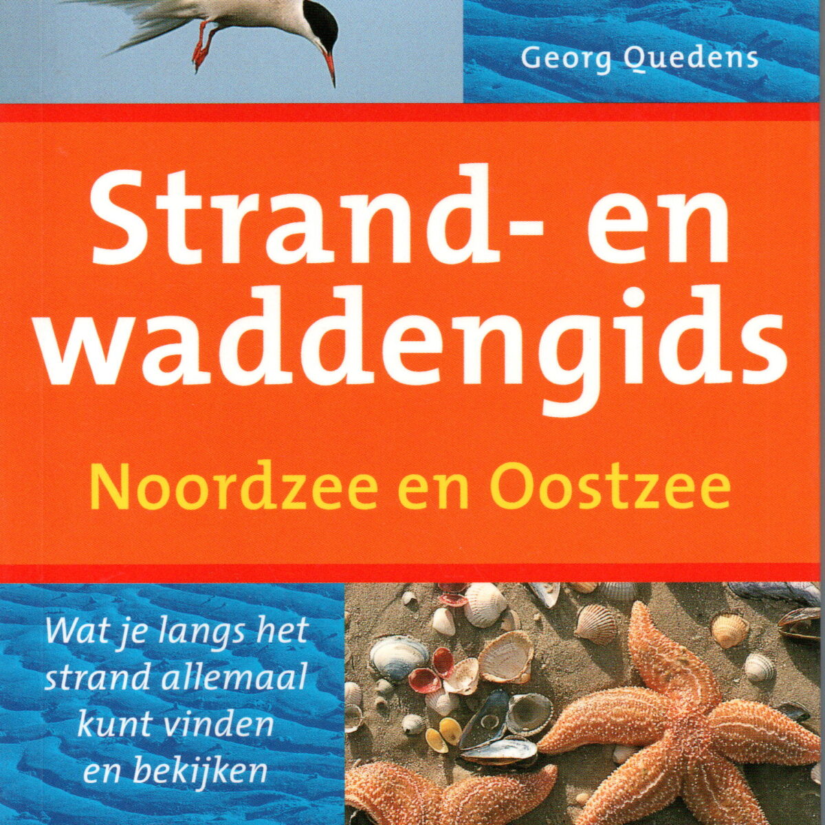 Strand- en waddengids - Noordzee en Oostzee - Wat je langs het strand allemaal kunt vinden en bekijken -