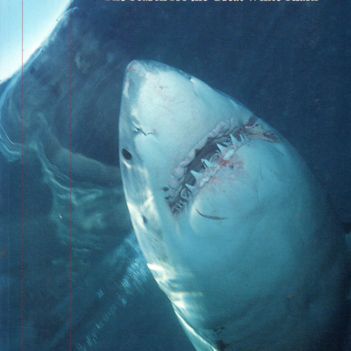 Blue Meridian - The Search for the Great White Shark -