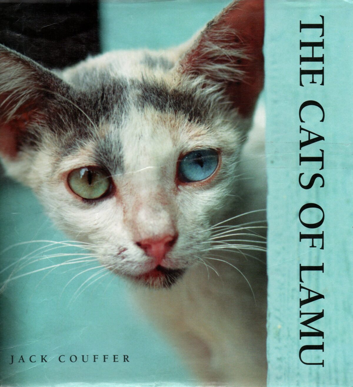 Scan_20230825-scaled The Cats of Lamu