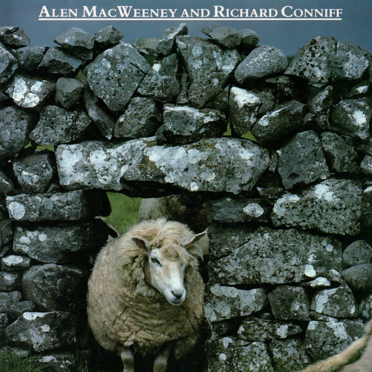 The Stone Walls of Ireland