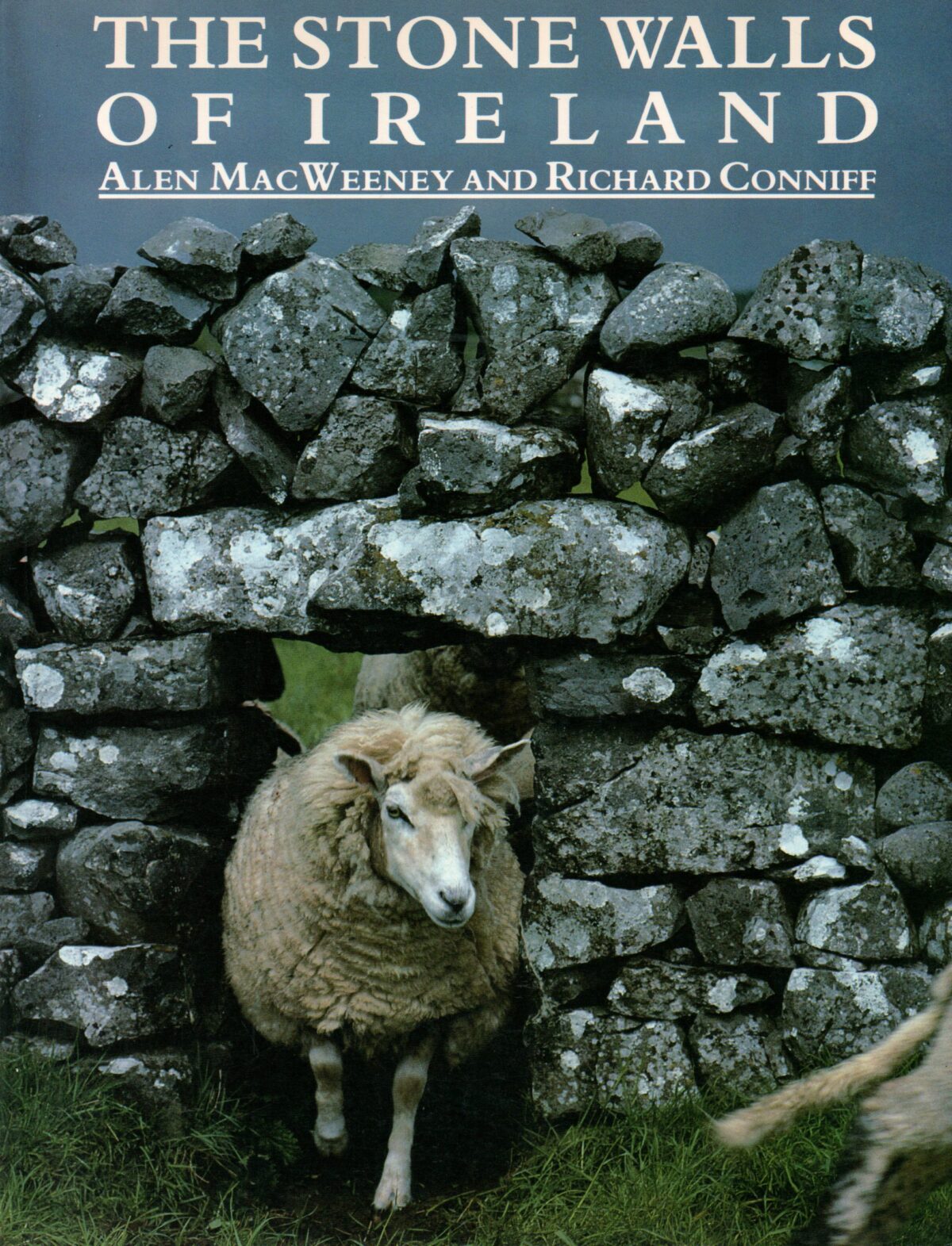 Scan_20231003-6-scaled The Stone Walls of Ireland