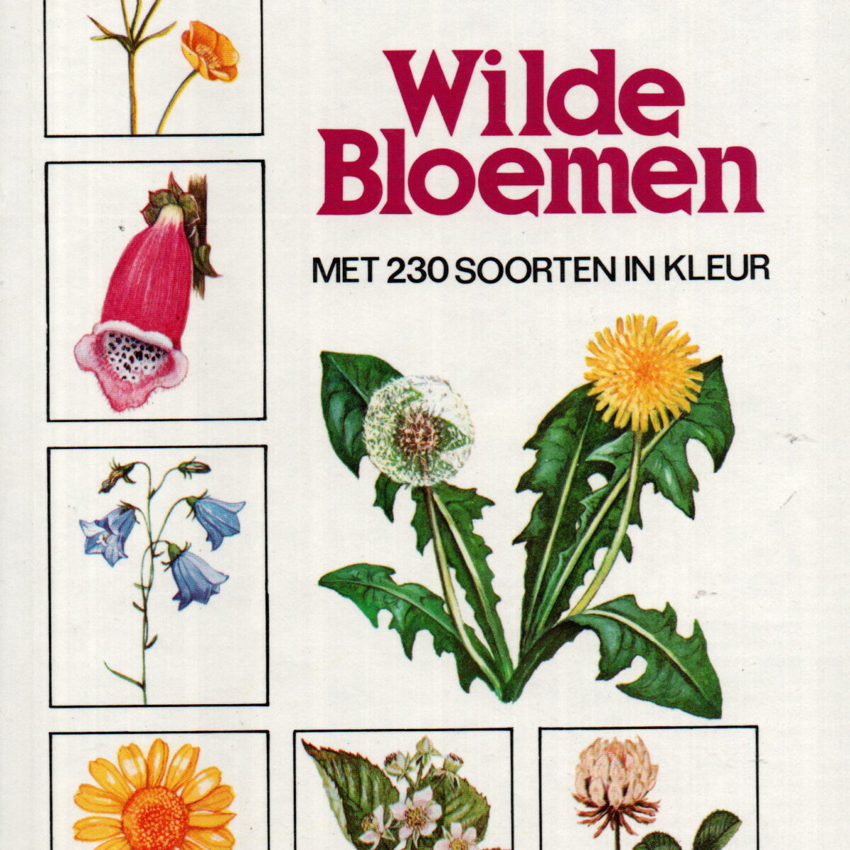 Wilde bloemen - veldgids - met 230 soorten in kleur -