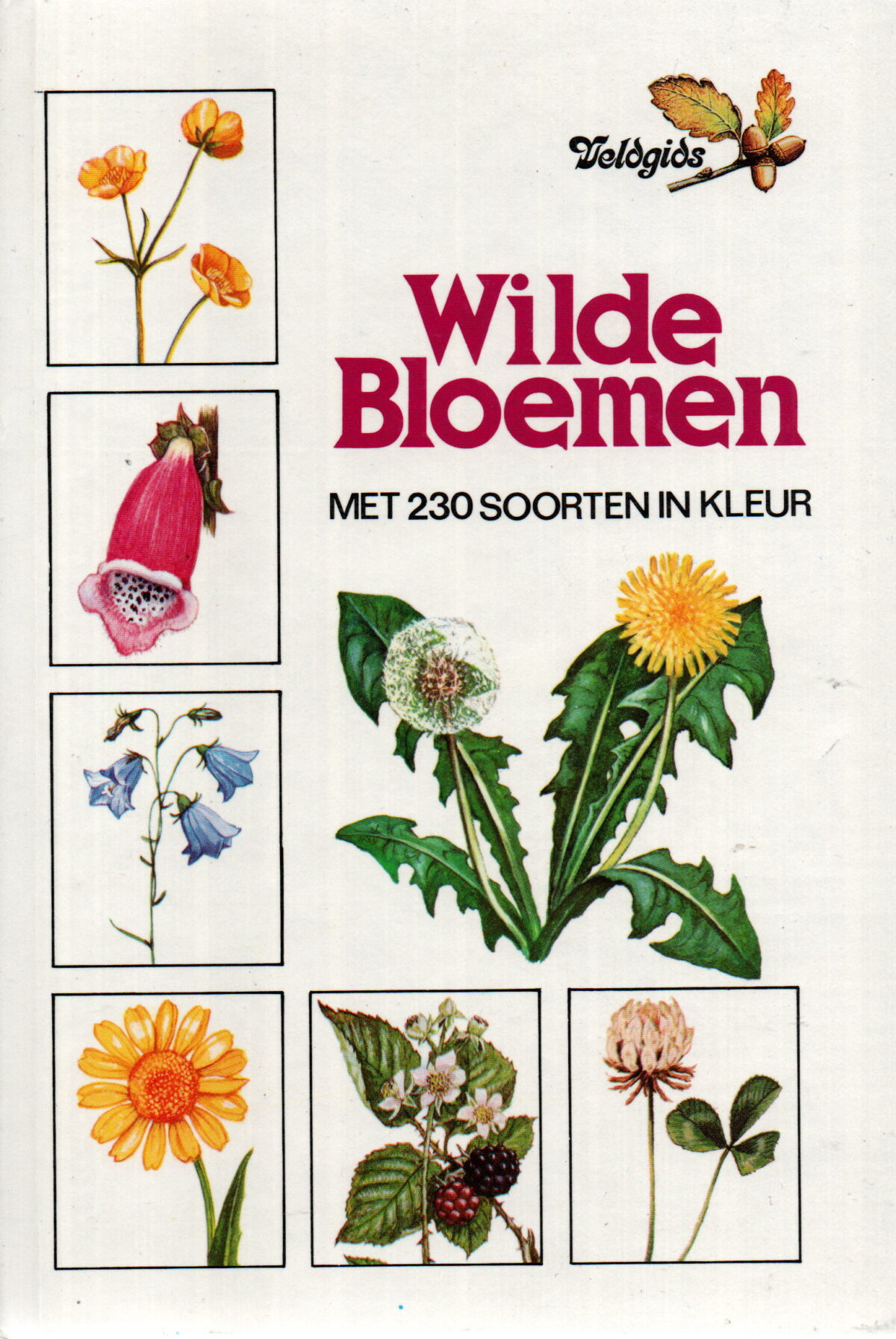 Scan_20231004-5 Wilde bloemen - veldgids - met 230 soorten in kleur -