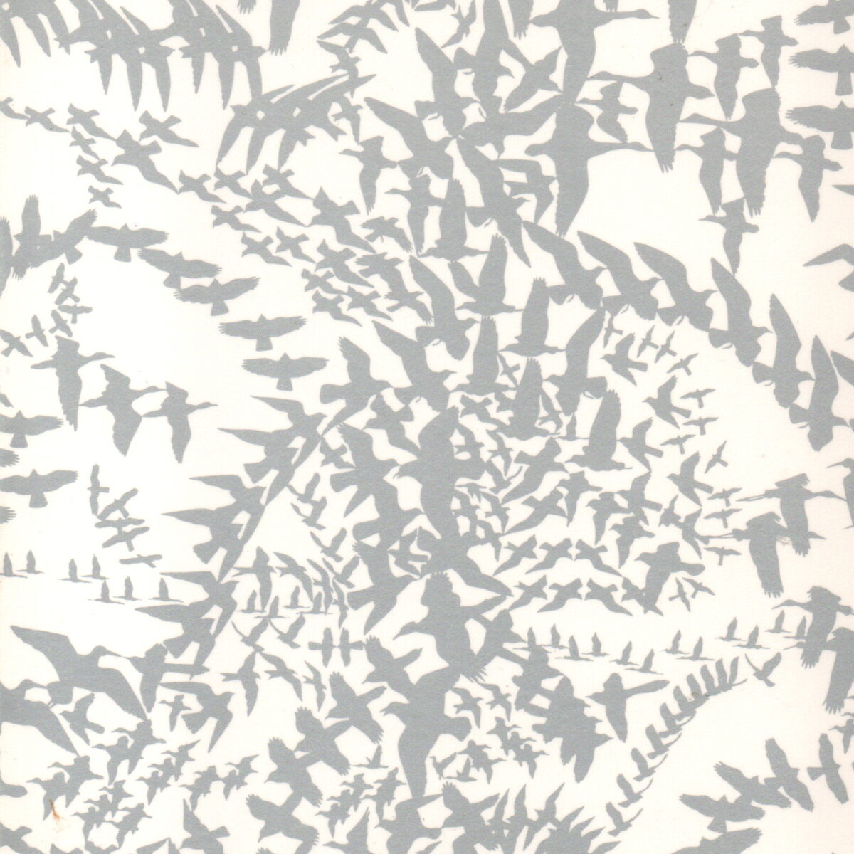 The Conference of the Birds - A Sufi Fable -