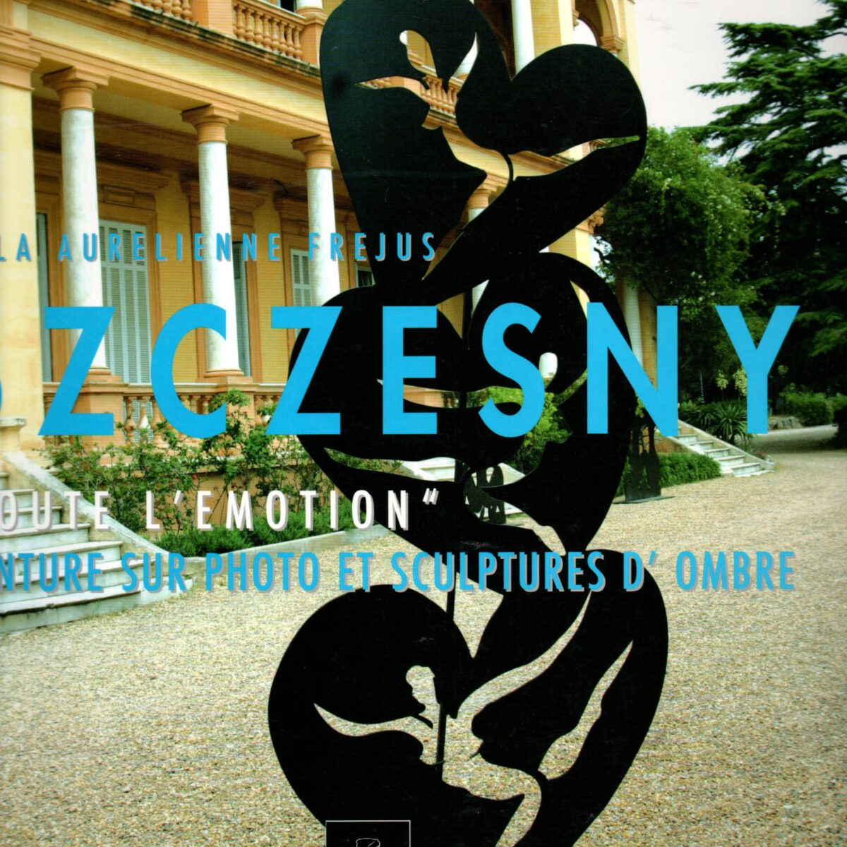 Szczesny - 'Toute l'emotion' - Peinture sur photo et sculptures d'ombre -