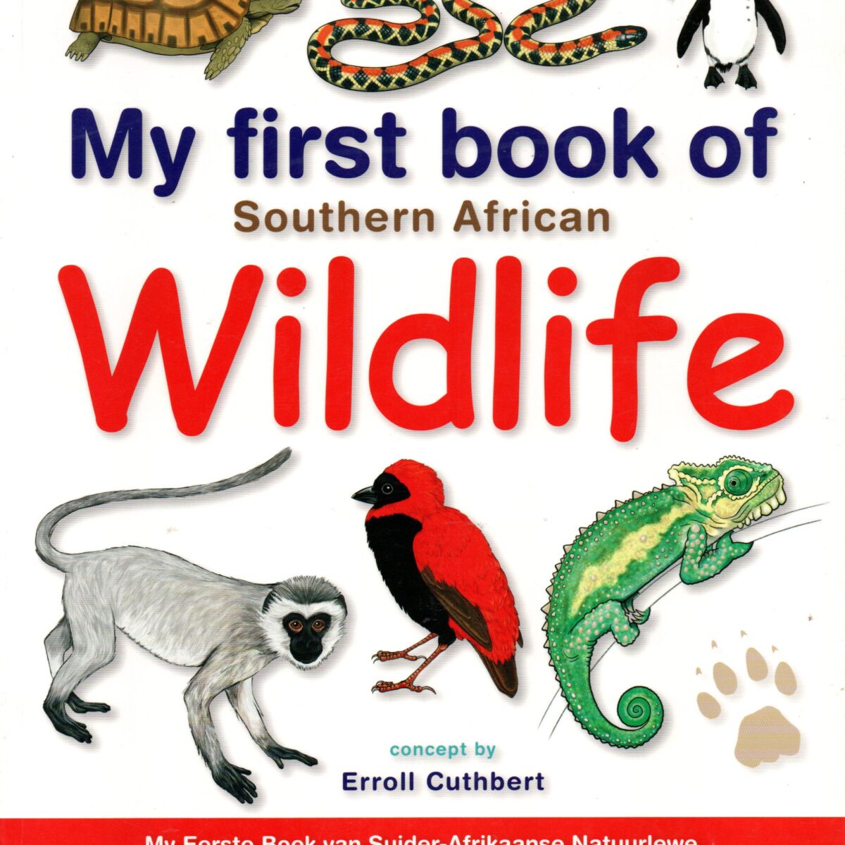 My first book of Southern African Wildlife