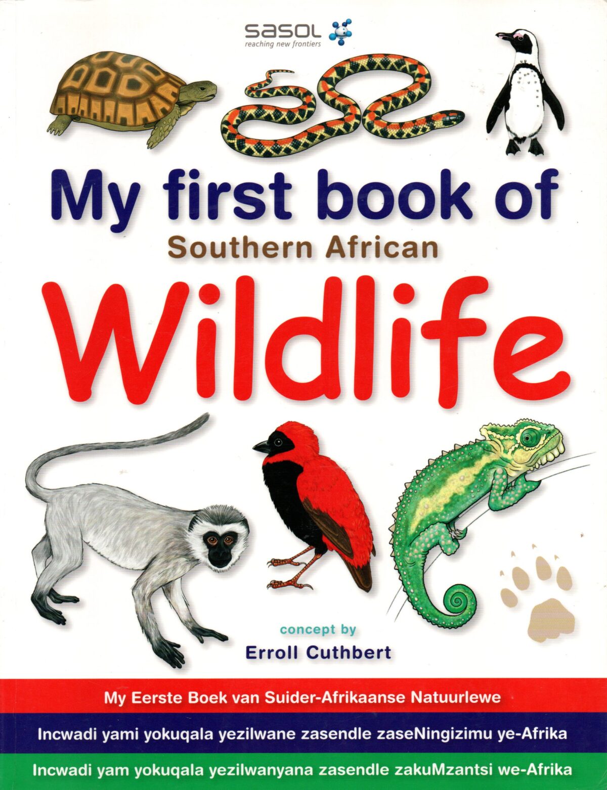 Scan_20231115-5-scaled My first book of Southern African Wildlife