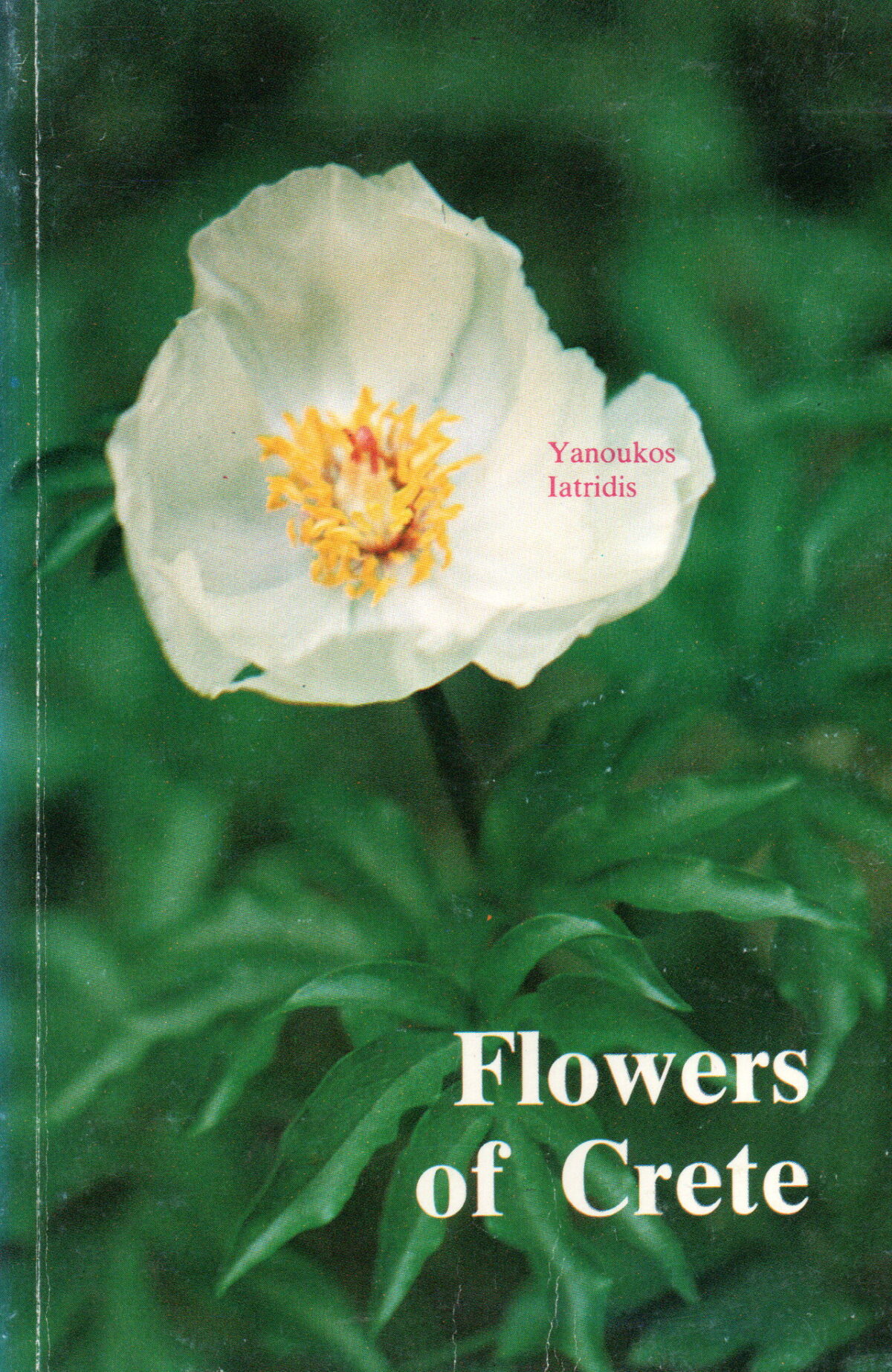 Scan_20231119-19 Flowers of Crete