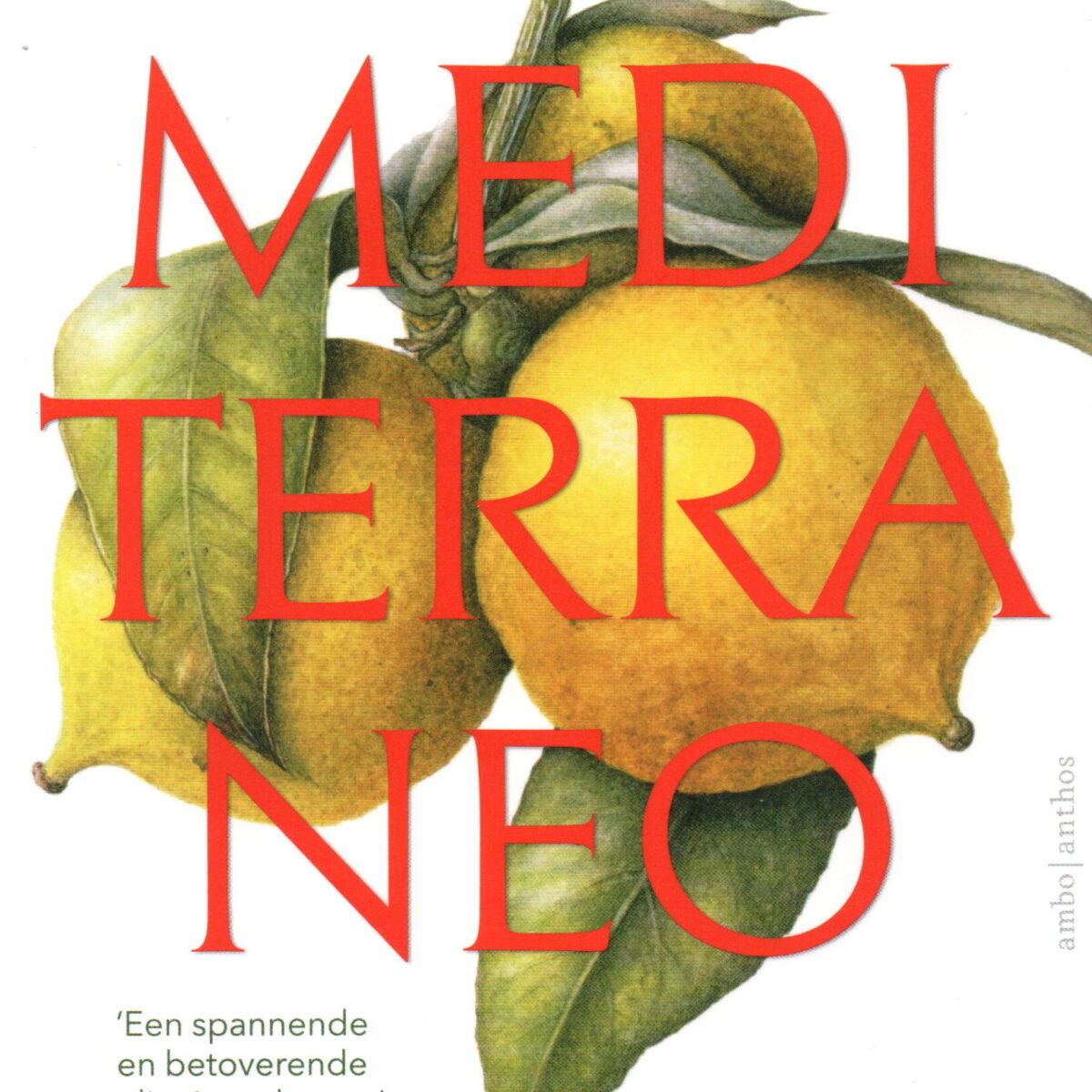 Mediterraneo - Een culinaire reisgids voor de mediterrane middeleeuwen -