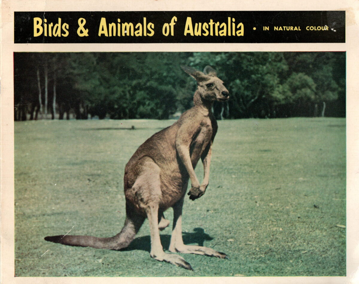Scan_20240117-2-scaled-e1705478444447 Birds & Animals of Australia - in natural colour -