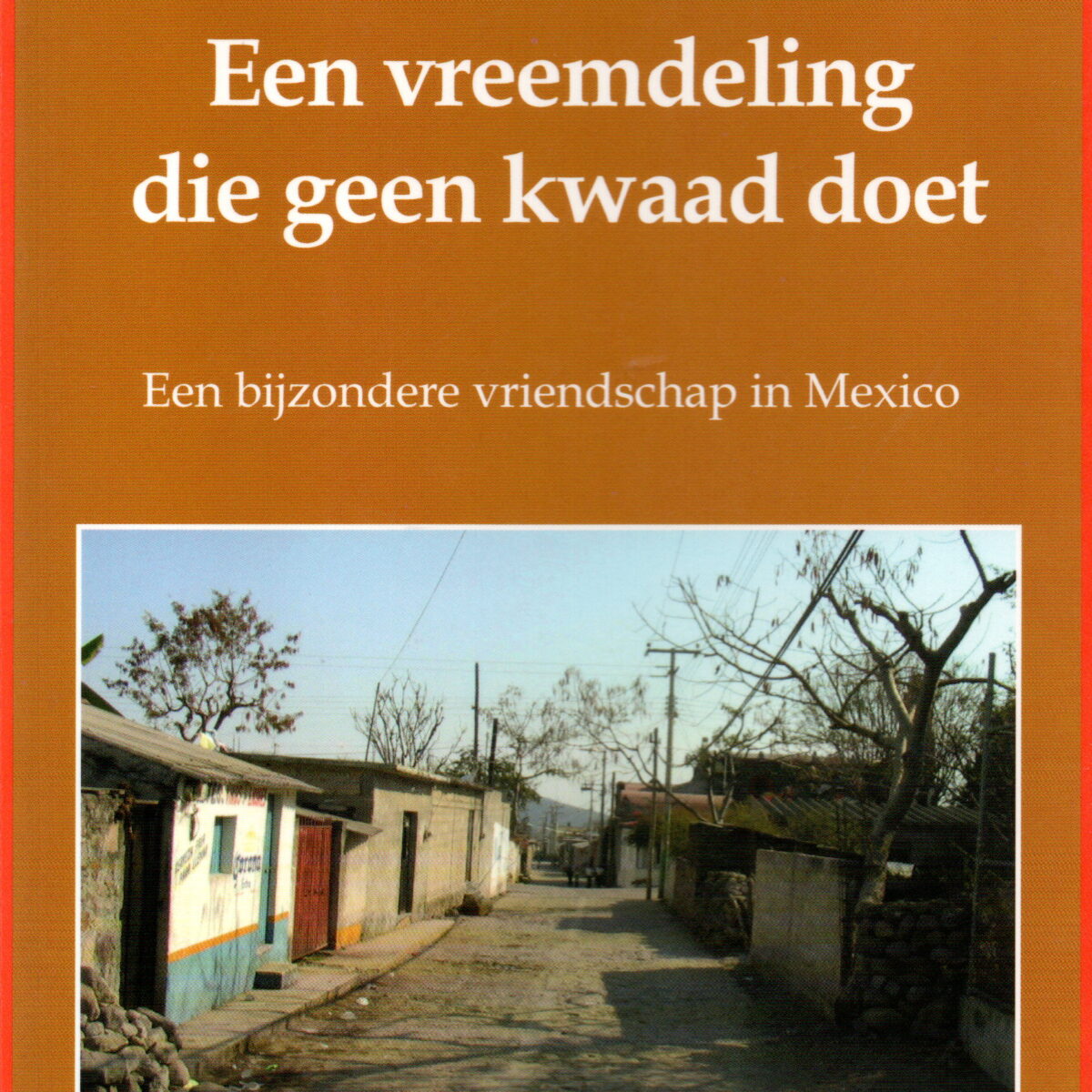 Een vreemdeling die geen kwaad doet - Een bijzondere vriendschap in Mexico -