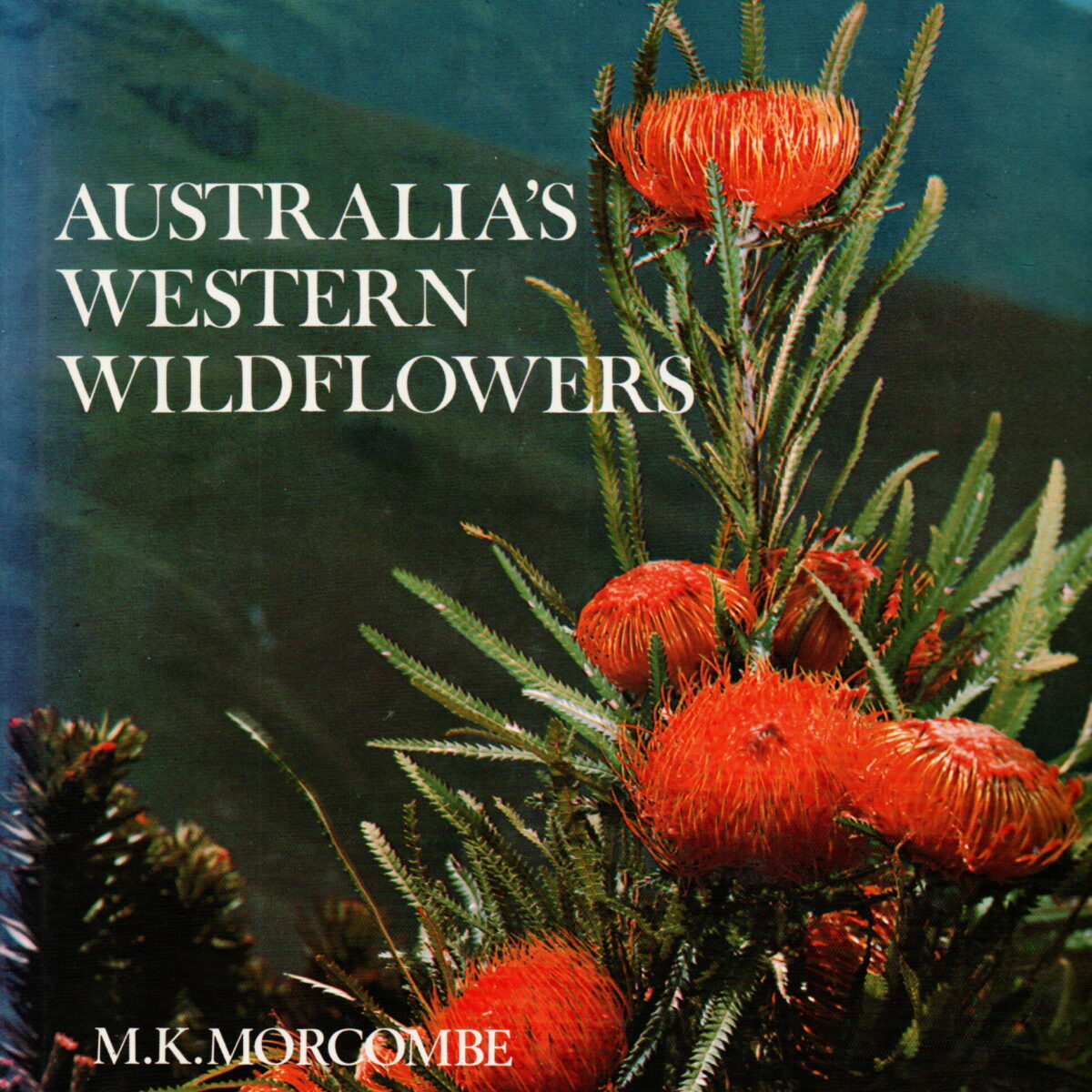 Australia's Western Wildflowers