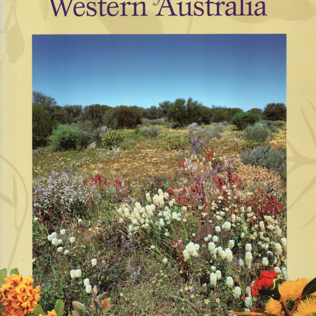 Common Wildflowers of Western Australia - 215 species illustrated -