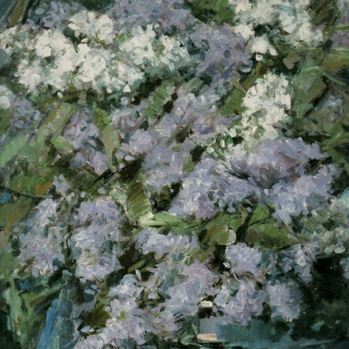 Toon de Haas - Schilder -