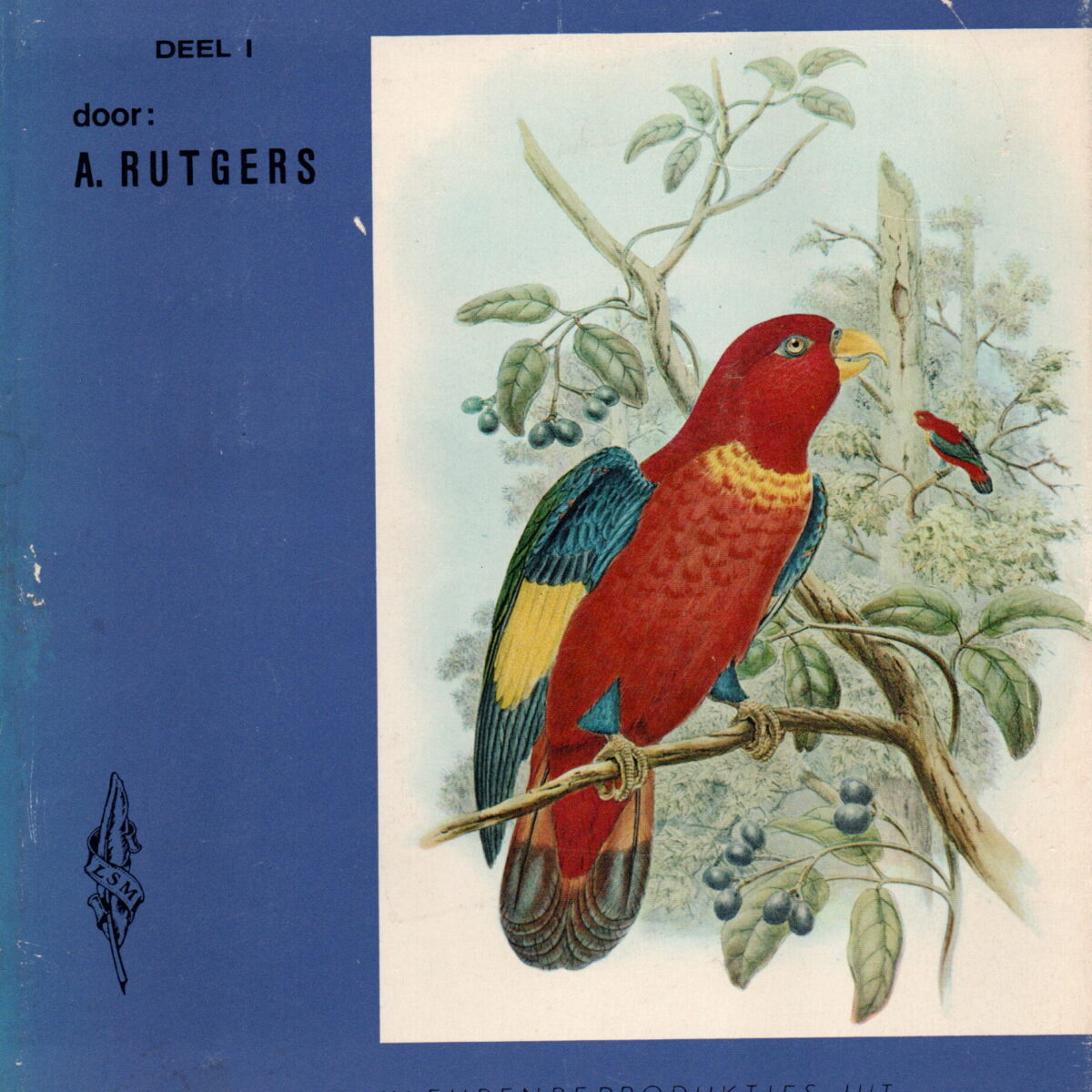 Scan_20240324-11-scaled Vogels van Nieuw-Guinea - deel 1 -