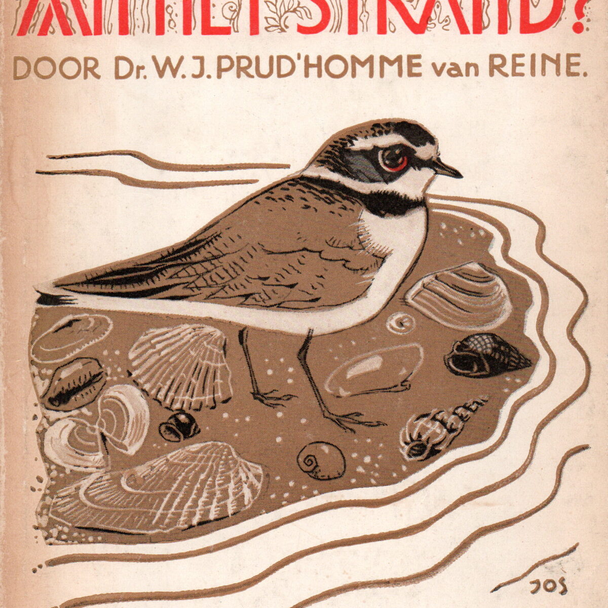 Wat vind ik aan het strand?