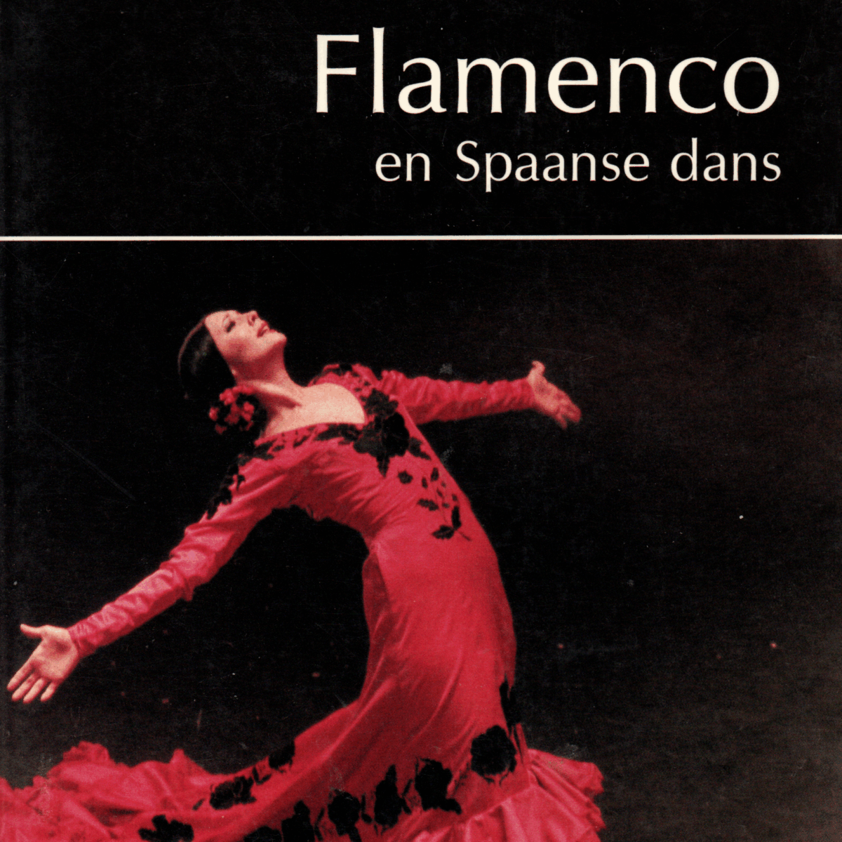 Flamenco en Spaanse dans - Aantekeningen bij de danstradities van Spanje -