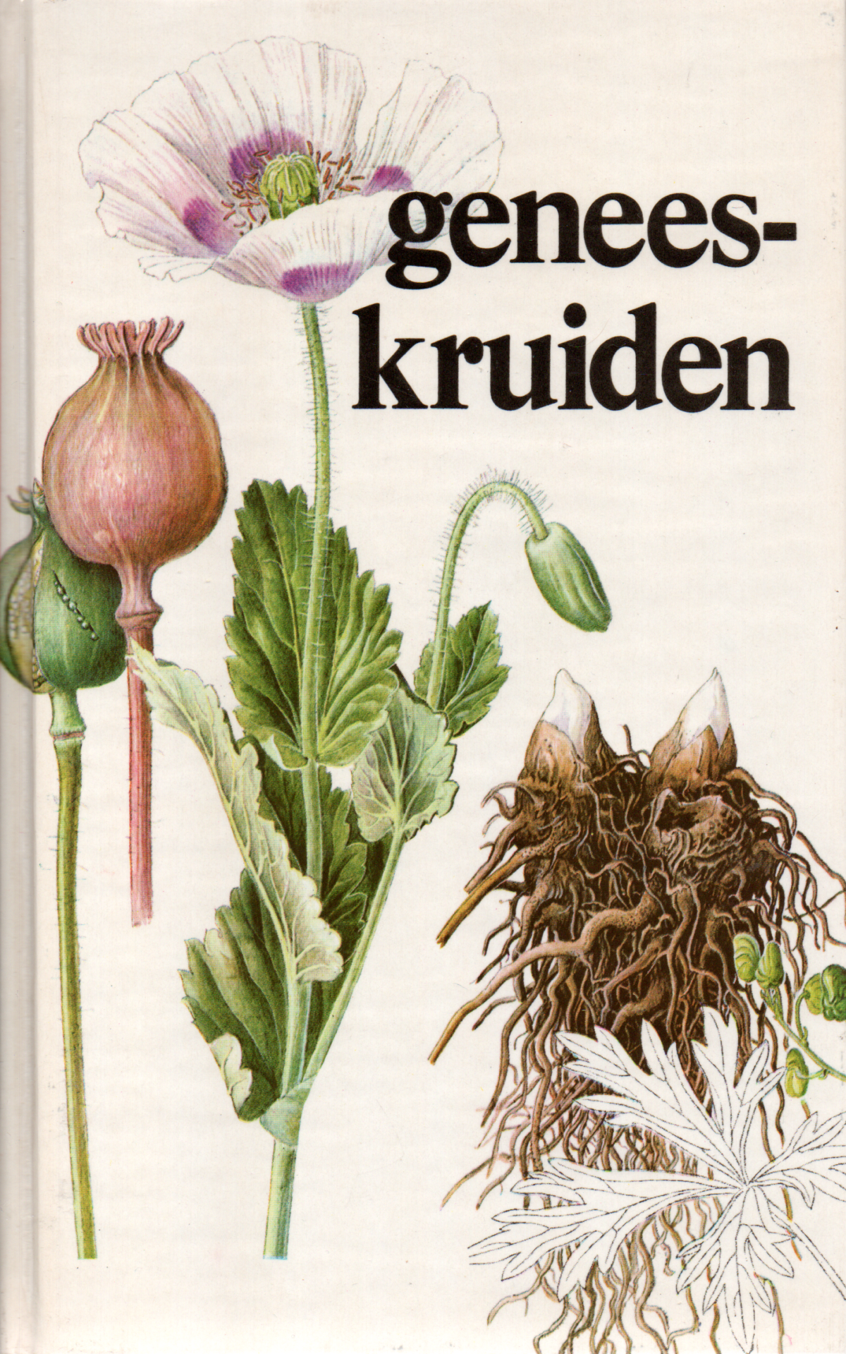 Scan_20240407-8 Geneeskruiden