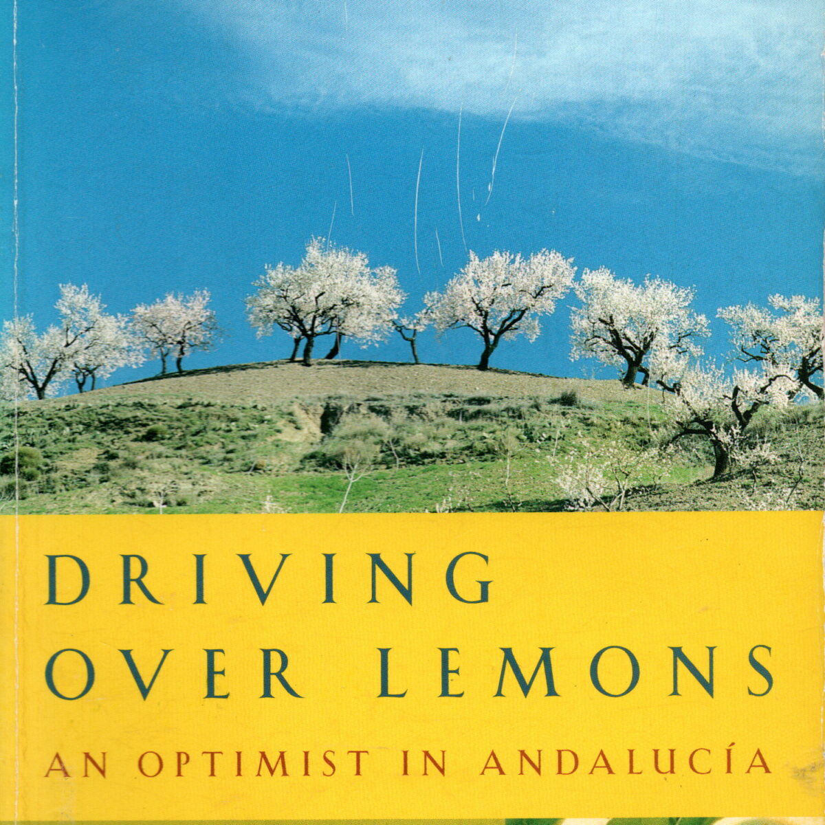 Driving over lemons - An Optimist in Andalucia -