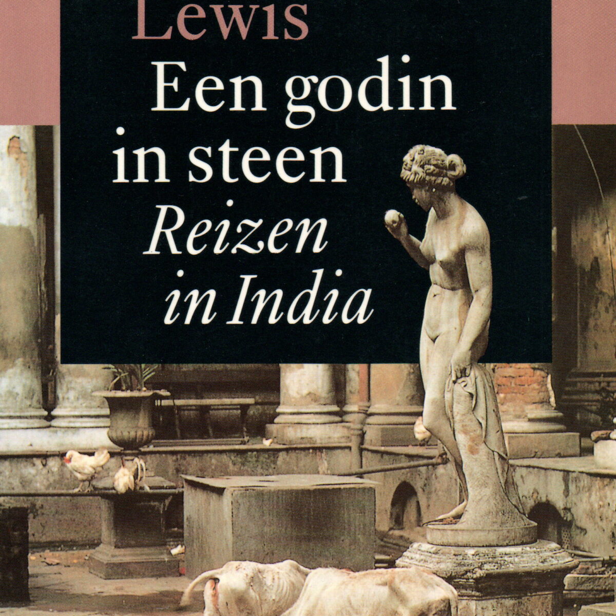 Godin in steen - Reizen in India -