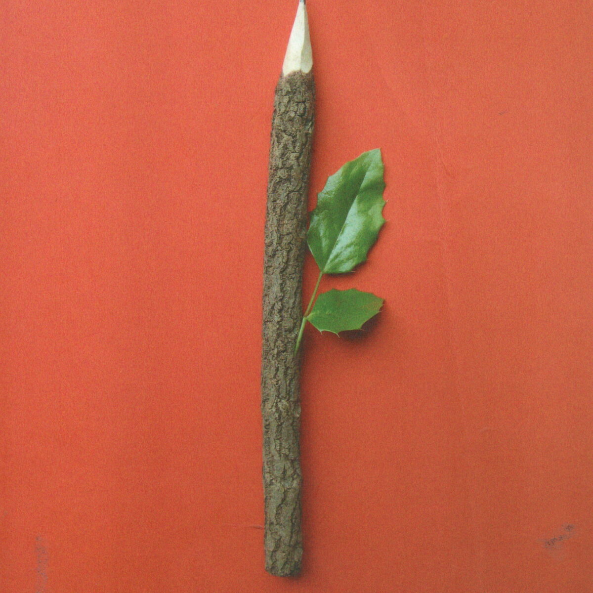 De ontsproten Picasso - Reizen door kunst en tijd -