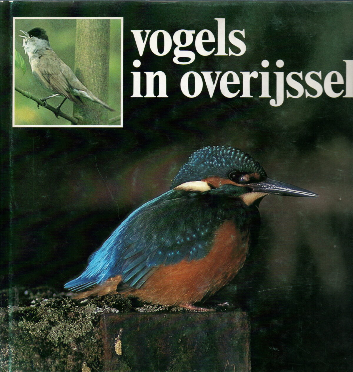 Vogels in Overijssel