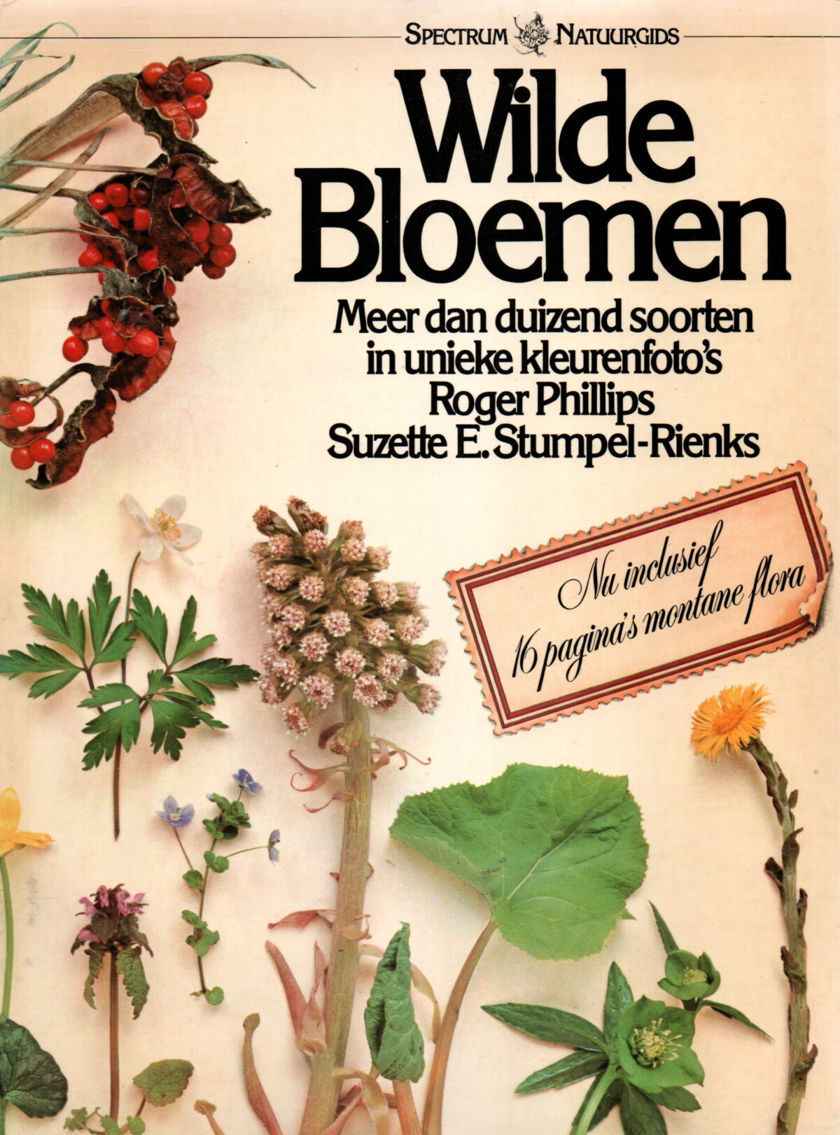 Scan_20240802-2-scaled Wilde Bloemen - Meer dan duizend soorten in unieke kleurenfoto's -