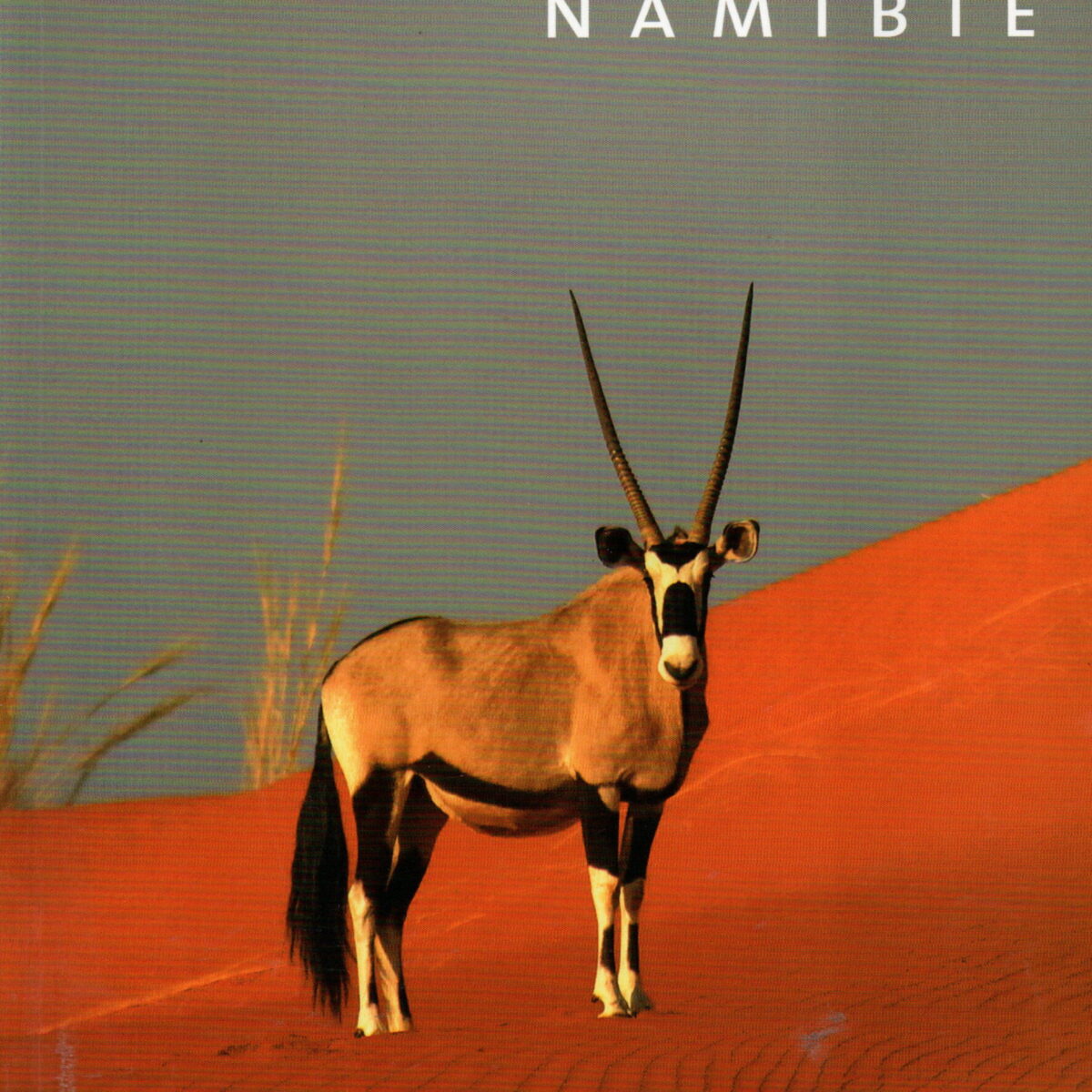 Ontdek Afrika - Namibië Special - Zeven verschillende culturen en hun leefomgeving -