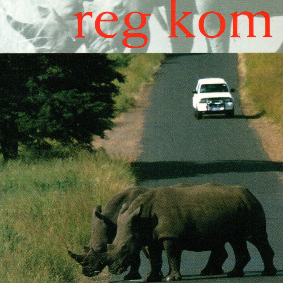 Alles sal reg kom - Een kroniek van Zuid-Afrika -