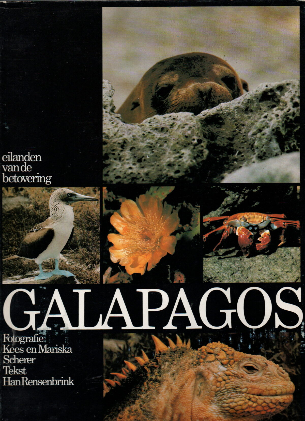 Scan_20241014-9-scaled Galapagos - eilanden van de betovering -