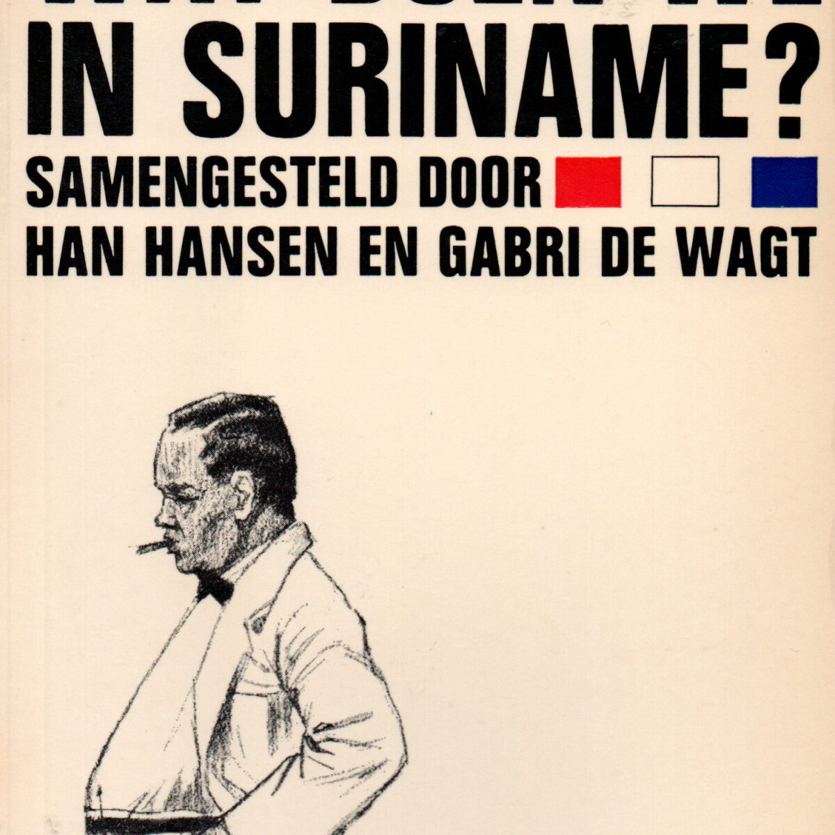 Wat doen we in Suriname?