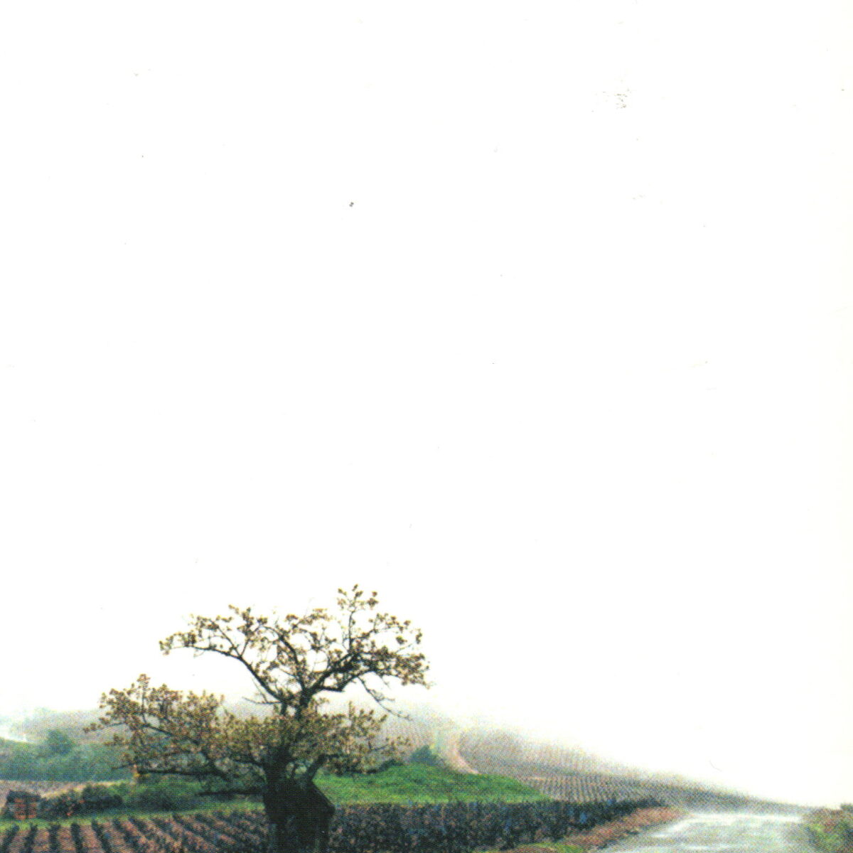 Avonturen op de wijnroute - een wijnkoper reist door Frankrijk -