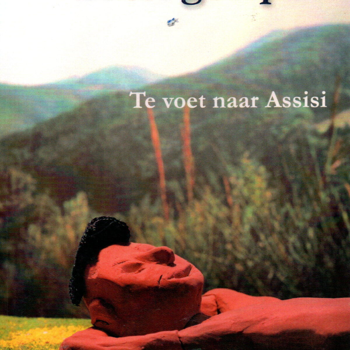 Een reis is nooit gelopen - Te voet naar Assisi -