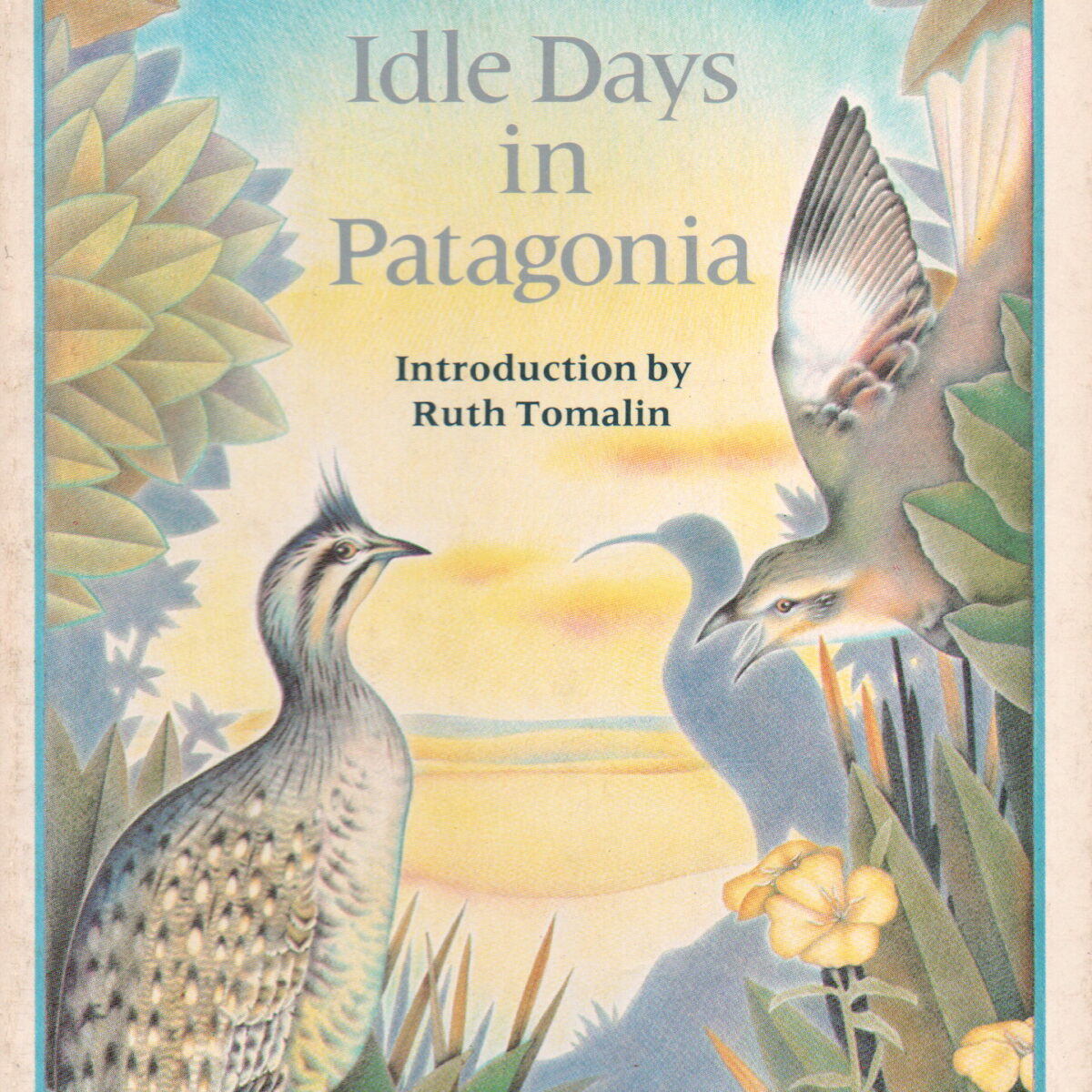 Scan_20250102-12 Idle Days in Patagonia