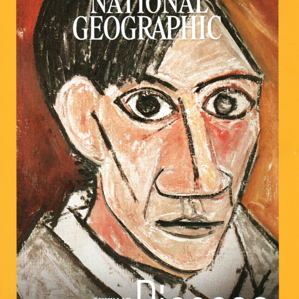 National Geographic - Picasso - Minnaar, Rebel, Dwarsligger, Genie -