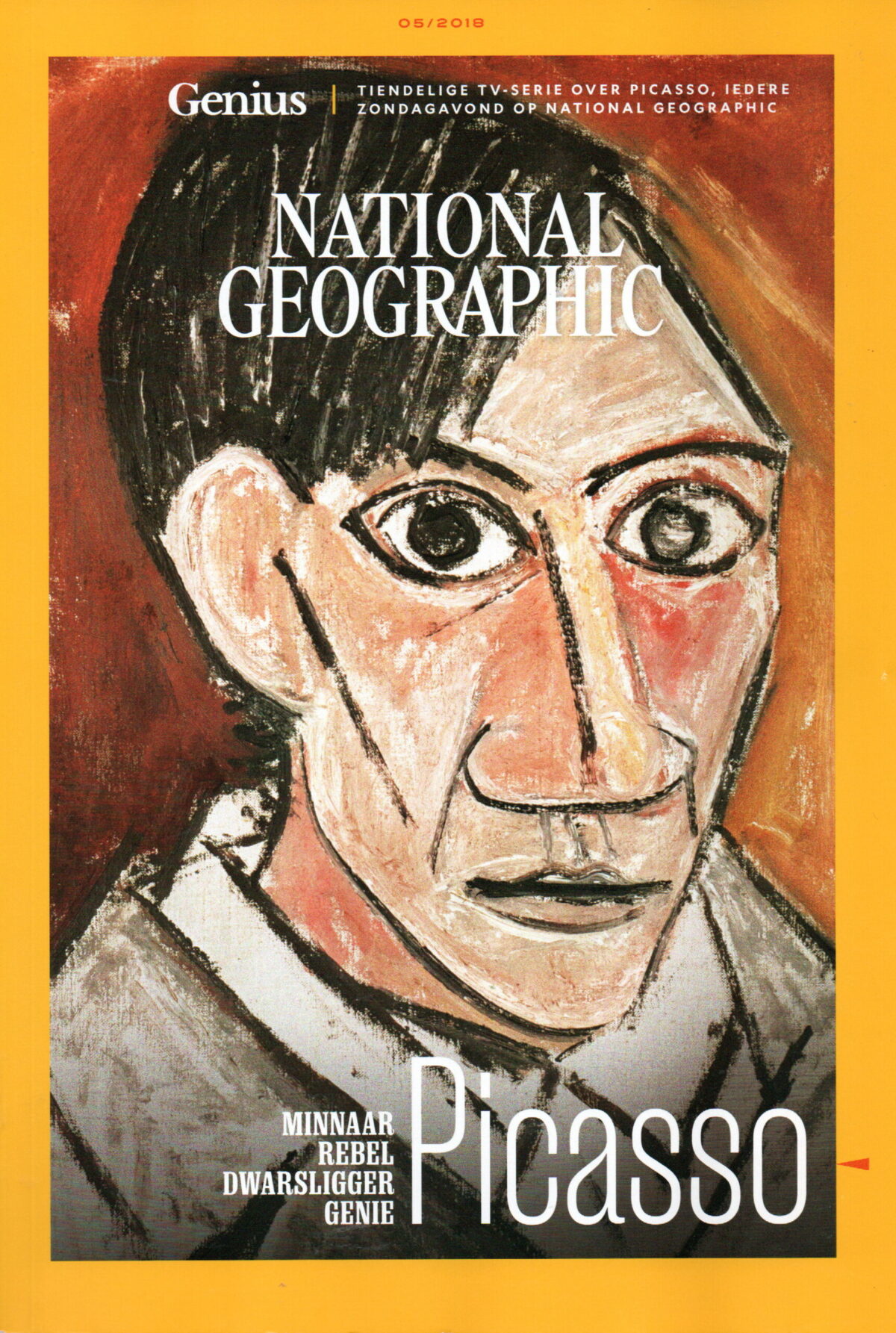 National Geographic - Picasso - Minnaar, Rebel, Dwarsligger, Genie -