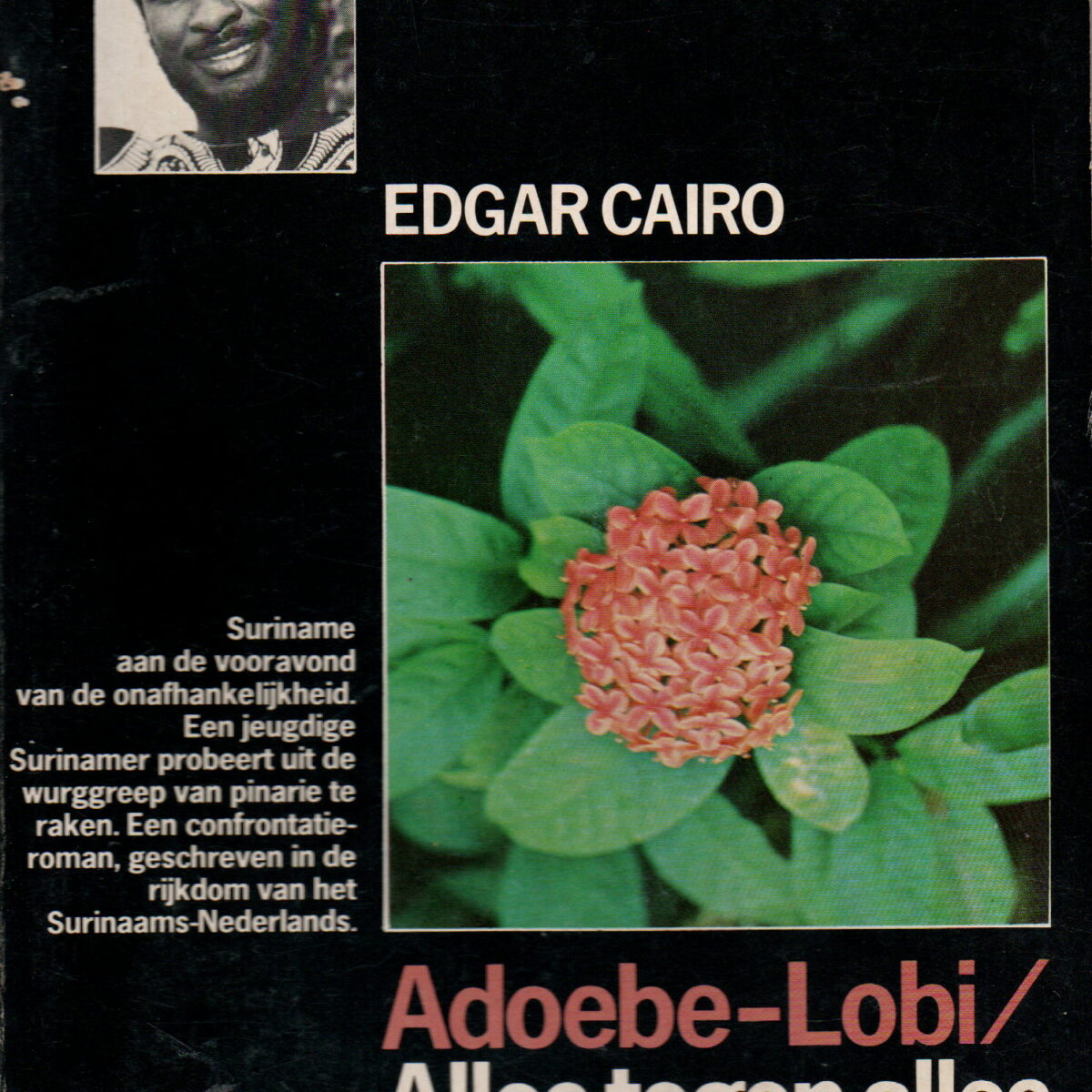 Adoebe-Lobi / Alles tegen alles